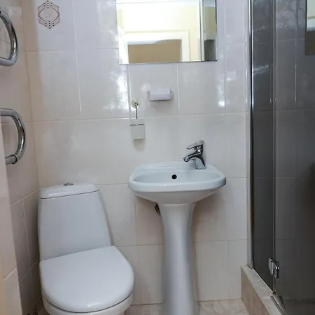 карпати * Khust