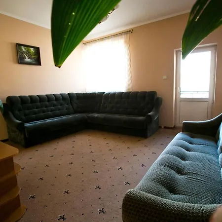 карпати * Chust