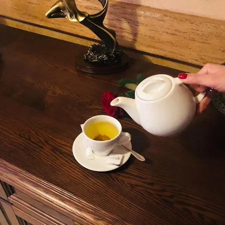 карпати Hotel *